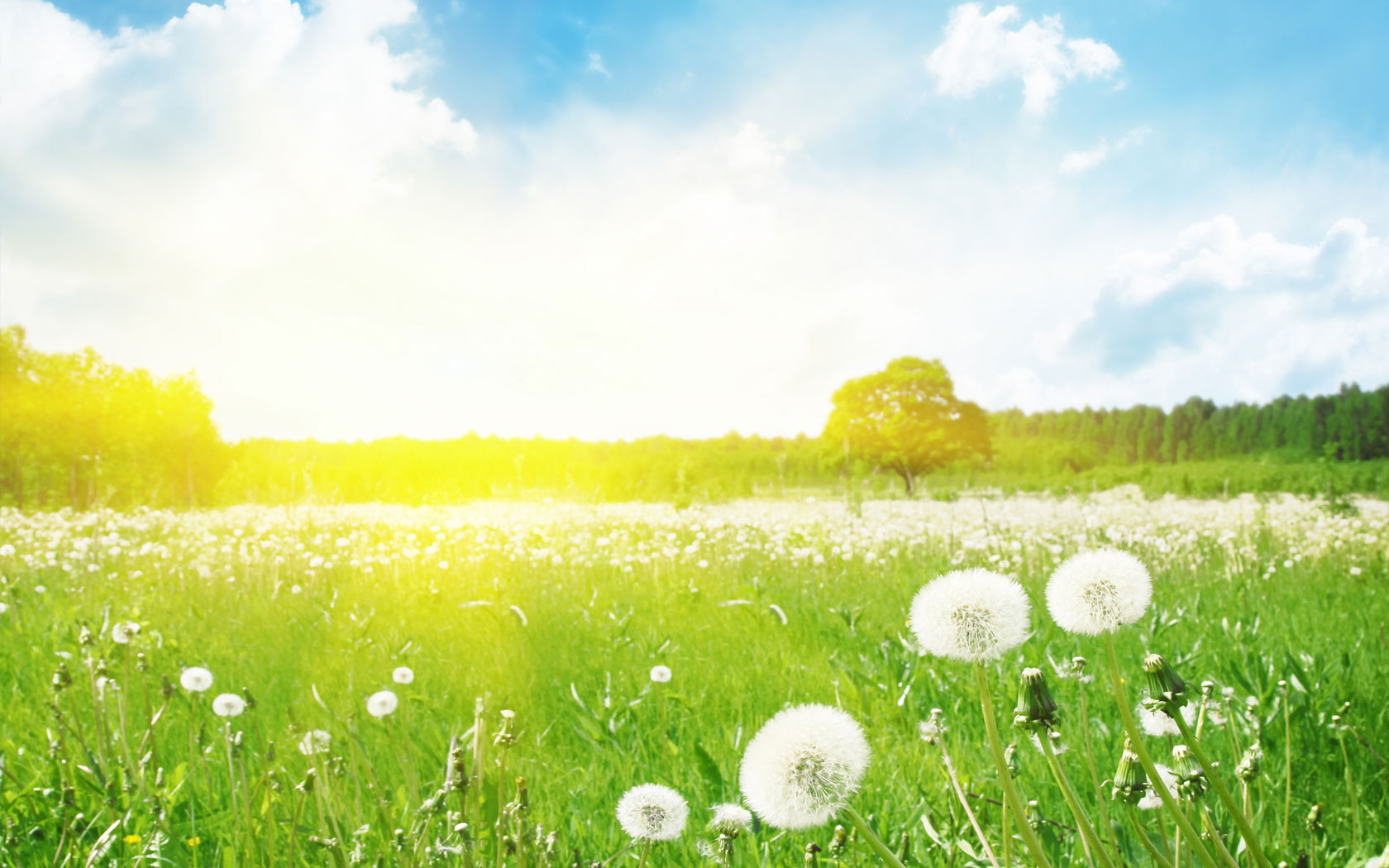 Sabahın HAVA PROQNOZU açıqlandı