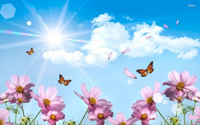 Sabah 25 dərəcə isti olacaq