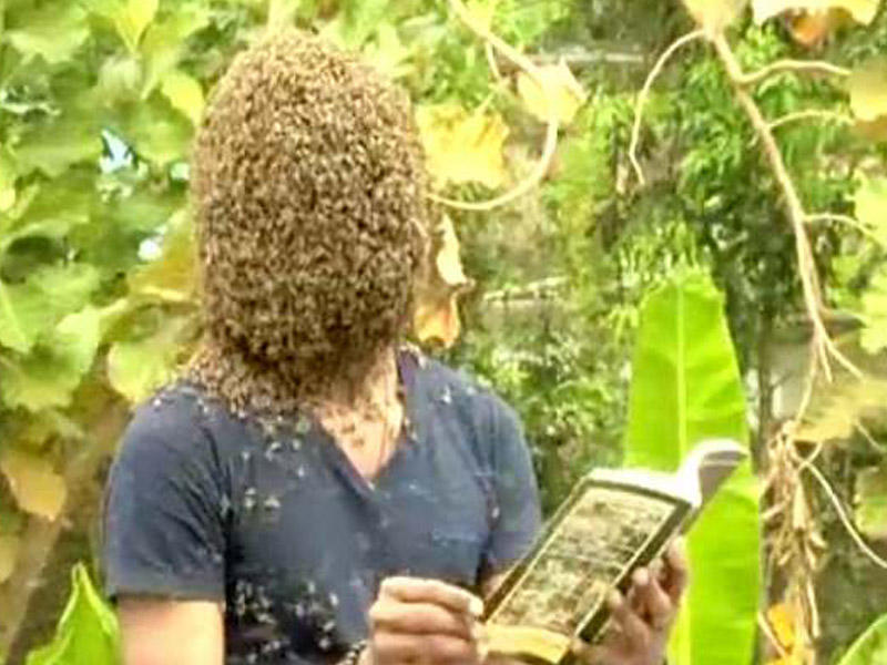 Başını 60 min arı örtdü - VİDEO