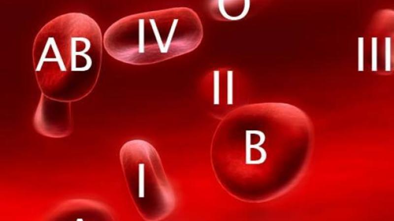 Qan qruplarının YARANMA TARİXİ: kimin dədə-babası yırtıcı, kiminki ƏKİNÇİ OLUB?