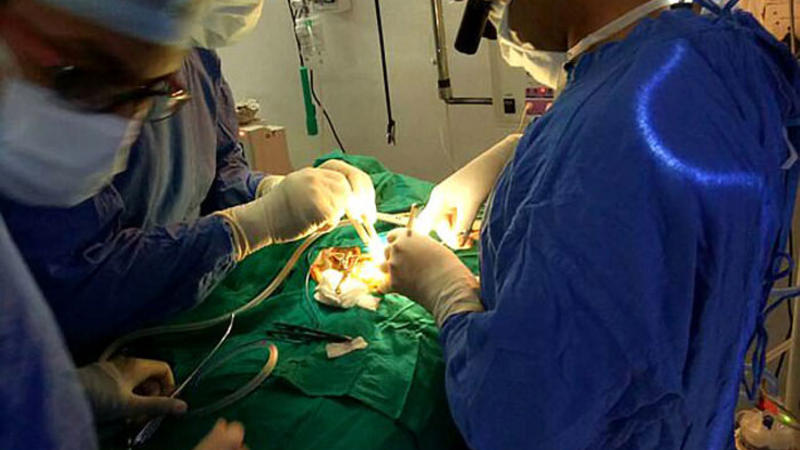 450 qram çəki ilə doğulan uşaq ürək əməliyyatı keçirdi - FOTOLAR