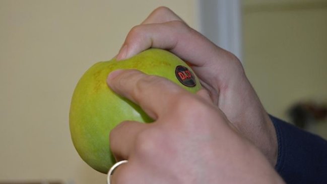 Ermənistanı qarışdıran Quba alması ilə bağlı YENİ İDDİA: İrəvanın HİYLƏSİ