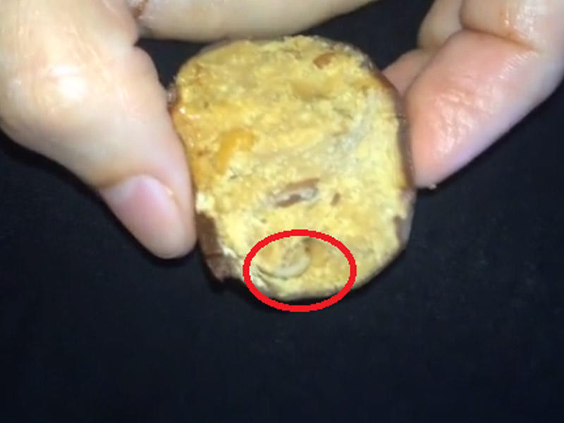 Azərbaycanlı müğənninin şokoladından qurd çıxdı - VİDEO