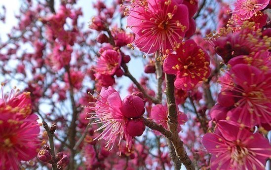 Nazirlikdən xəbərdarlıq- Bayram günü hava...