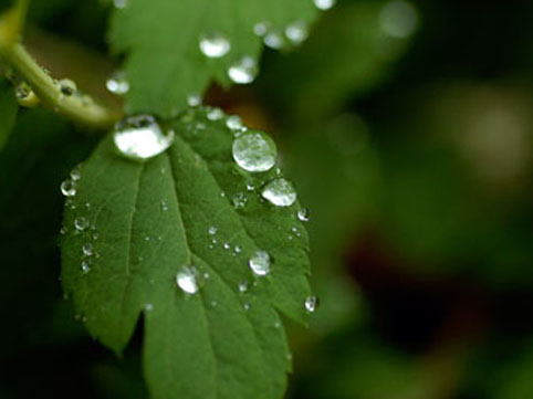 İyunun ilk gününün havası