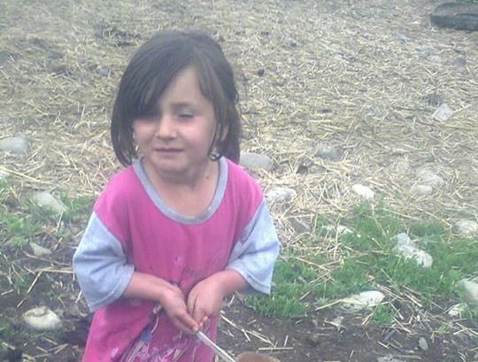 QUSARDA ÖLDÜRÜLƏN 5 YAŞLI LUIZANIN GÖRÜNTÜLƏRI YAYILDI – FOTO