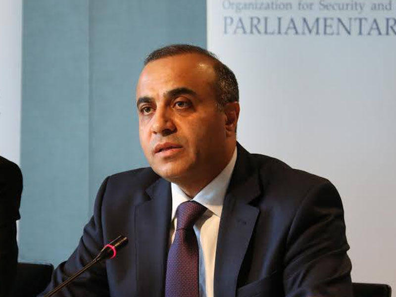 Azay Quliyevin təklifləri ATƏT PA tərəfindən qəbul olundu