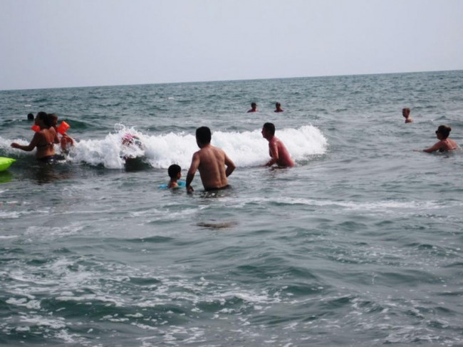 Bu çimərliklərdə gürzələr var - XƏBƏRDARLIQ