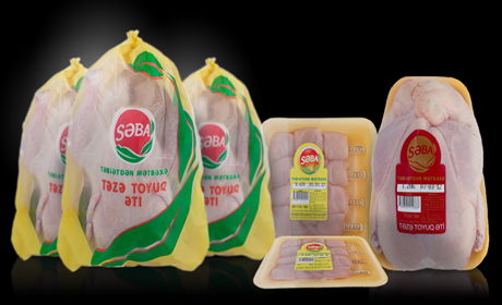 “Səba” toyuqları təhlükəlidir!