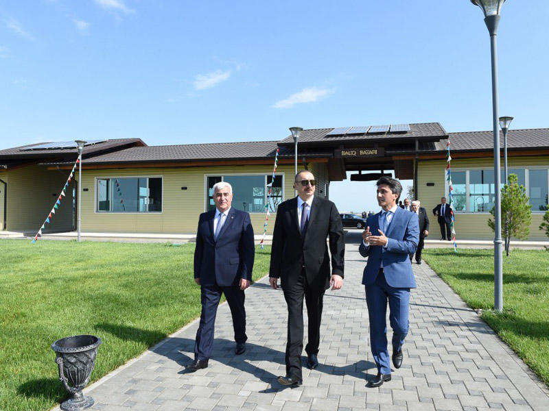 Prezident İlham Əliyev Pirallahı qəsəbəsində həyata keçiriləcək tədbirlərin layihələri ilə tanış olub - YENİLƏNİB - FOTO