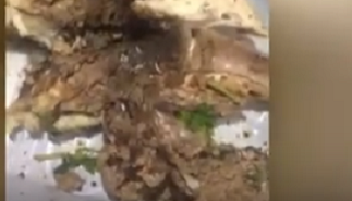 Bakıda ləvənginin içindən qurd çıxdı - VİDEO