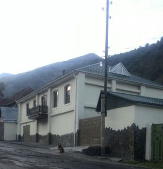 Zaqatala icra başçısının İlisudakı dəbdəbəli villası və Almaniyadan gətizdirdiyi itlər - FOTOLAR