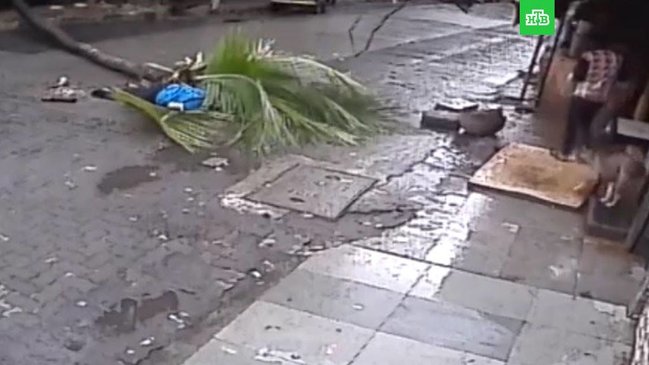 SON DƏQİQƏ!!!Televiziya rəhbərinin faciəvi ölümü - Video