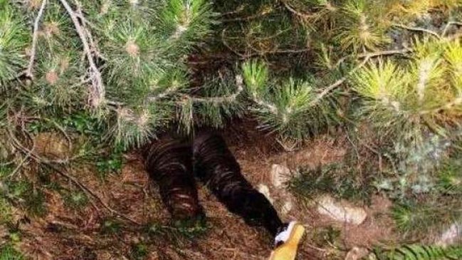 SON DƏQİQƏ!!! Tanınmış güləşçi öldürüldü - Cəsədi kəndin yaxınlığından tapıldı