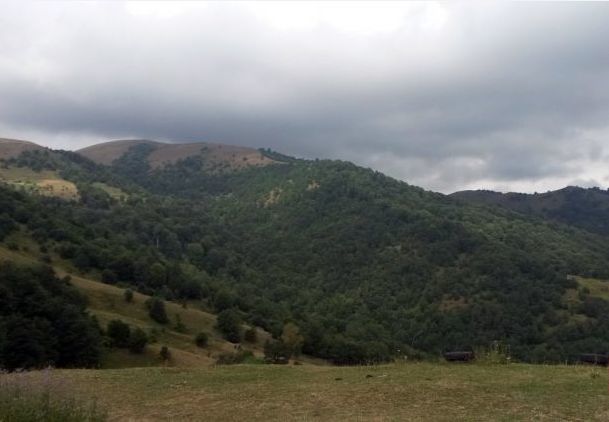 Ermənilərin atəşə tutduğu kəndə dəyən zərər müəyyənləşdi - FOTO