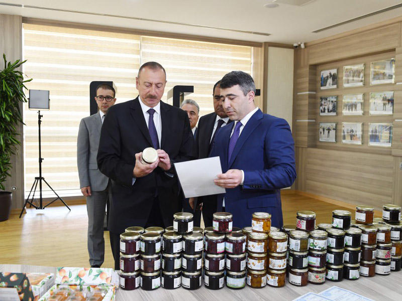 Prezident İlham Əliyevin Balakən rayonuna səfəri  - FOTO