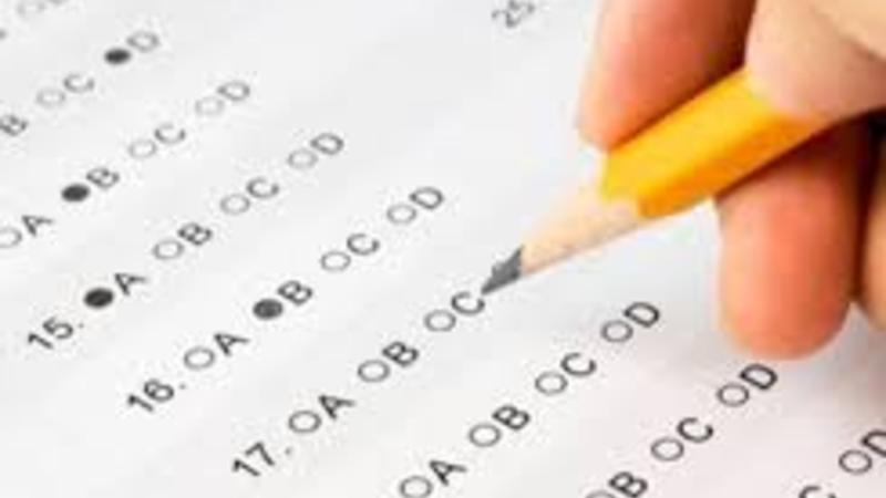 Ali məktəblərə V qrup üzrə ixtisas seçimi başladı