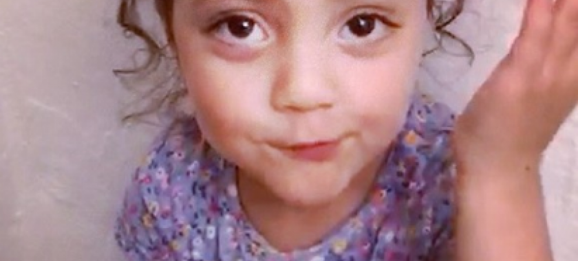 Balaca Əminənin bu videosu internetdə rekord qırır - VİDEO