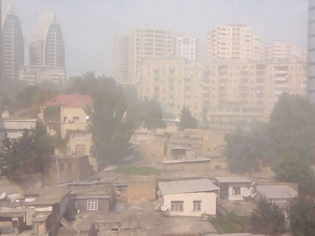 Tozlu havanın səhhətimizə təsiri ilə bağlı kardioloqdan – XƏBƏRDARLIQ