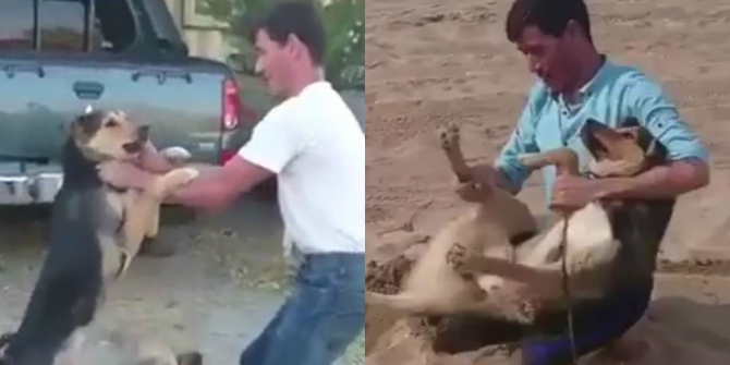 Bakıda dəhşət: İti diri-diri basdırdılar – VİDEO