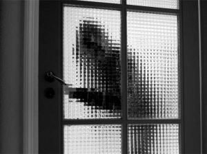 Salyanda evdən 18 min manat pul oğurlanıb