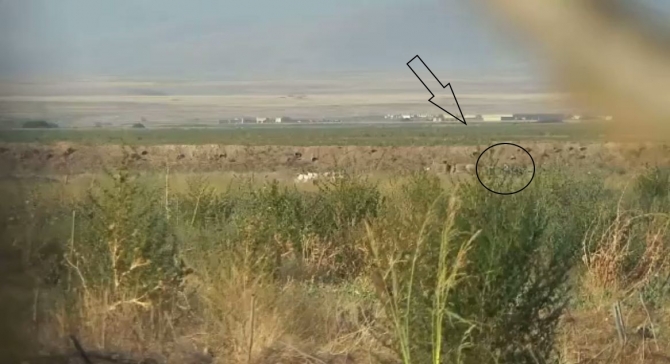 Cəbhədə erməni əsgər başından belə vuruldu (VİDEO)