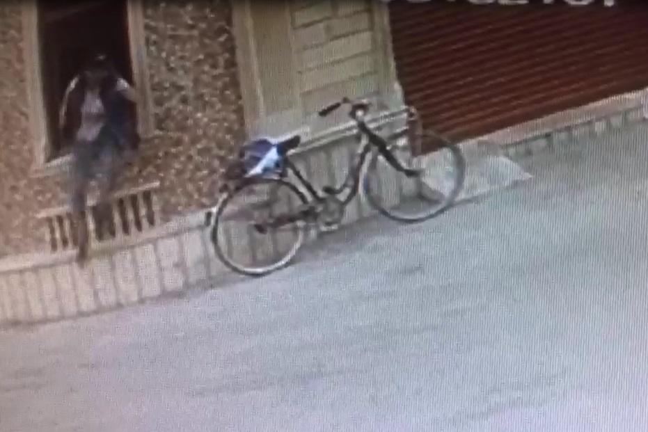 Bakıda oğurluq edən velosipedçi kameraya düşdü - VİDEO