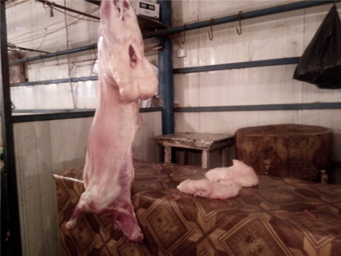 Qurban bayramı ərəfəsi ət bahalaşa bilər