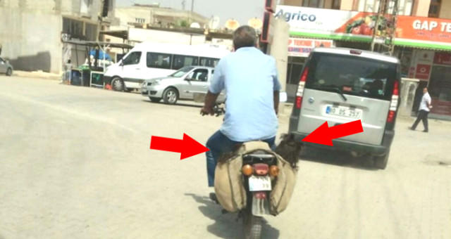 Atanın uşaqlarına verdiyi əzab görənləri dəhşətə gətirdi - FOTO