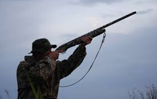 Qanunsuz ova görə 73 nəfər saxlanılıb