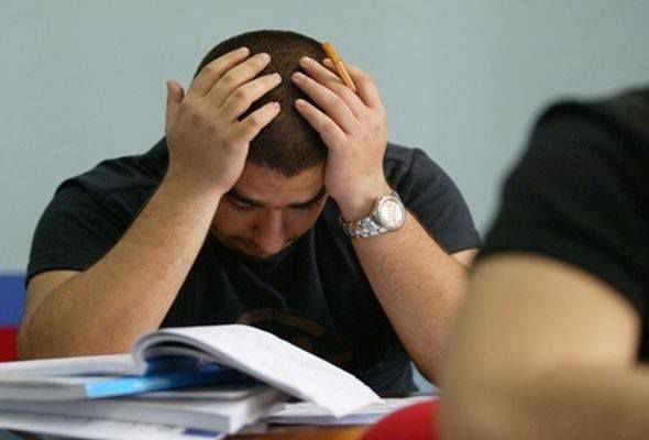 DİM 600-dən çox bal toplayan gənclərə müraciət etdi