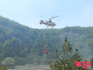 Oğuz və Qəbələdə meşə zolağında yanğın olub, yanğının söndürülməsinə helikopter cəlb edilib