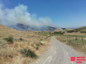 Oğuzda meşə yanır