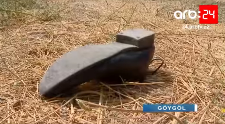 Gəncədə DƏHŞƏT: ər arvadının qulağını kəsib bıçaqladı - VİDEO