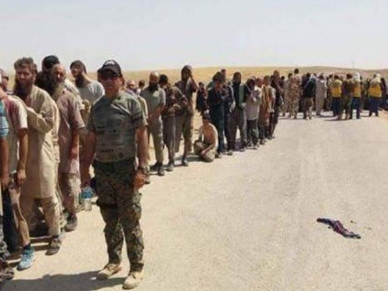 İŞİD-in əsir düşən vəhhabi ordusu arasında azərbaycanlılar da var imiş... - ŞOK VİDEO