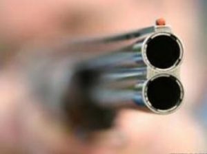 Gədəbəydə qadın güllələnib