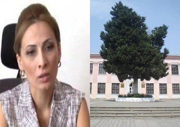 Sumqayıtda məktəb direktoru jurnalistə: 