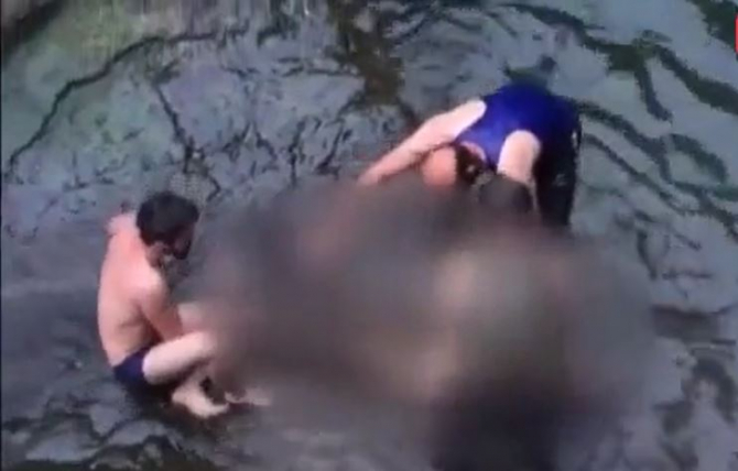 Türkiyədə sərinləmək üçün çaya girən azərbaycanlı boğuldu (VİDEO)