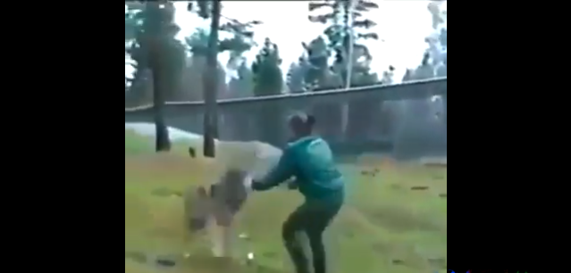 Canavar hərbçi QADININ dolundan yapışdı: Həyəcanlı anlar BELƏ GÖRÜNTÜLƏNDİ - VİDEO