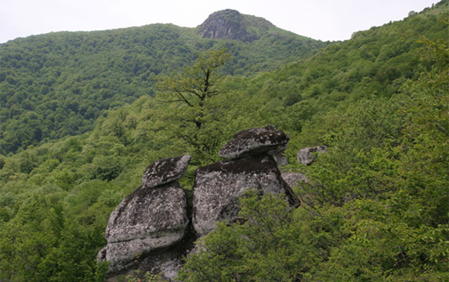 Valideynlərini öldürən şəxs meşədə gizlənir
