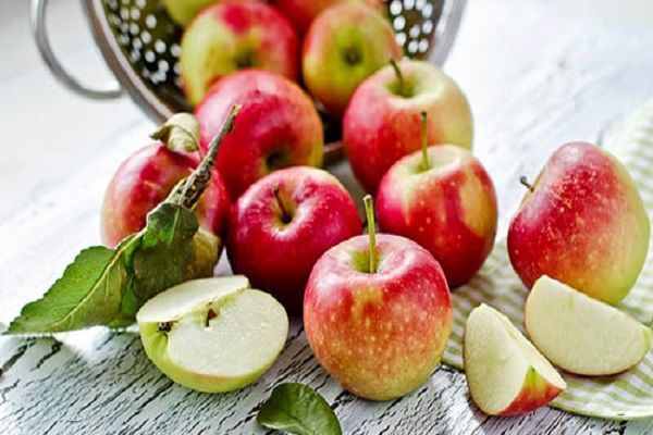 Azərbaycandan Rusiyaya meyvə idxalının qarşısı alındı