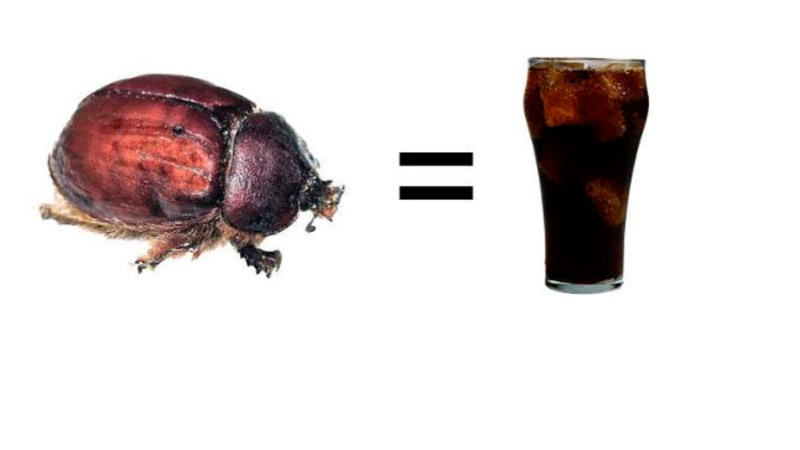 “Coca-Cola” içdikdən 10 dəqiqə sonra orqanizmdə NƏ BAŞ VERİR? - İNANMAYACAĞINIZ GERÇƏKLƏR