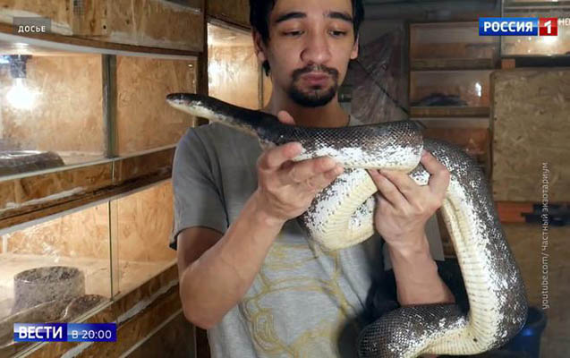 Canlı yayıma gətirdiyi ilanın qurbanı oldu - Video