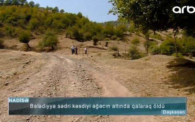 Azərbaycanda bələdiyyə sədri kəsdiyi ağacın altında qalıb öldü