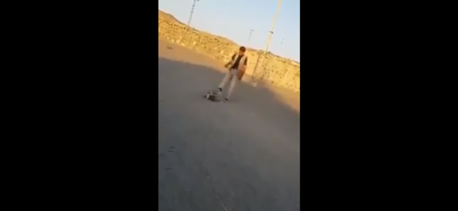 Yaşlı kişi iti TƏPİKLƏDİ, OLANLAR OLDU: Hüquq mühafizə orqanlarına... - VİDEO