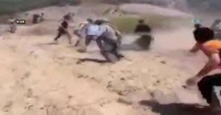 Ayı 2 peşmərgəni belə parçaladı - VİDEO