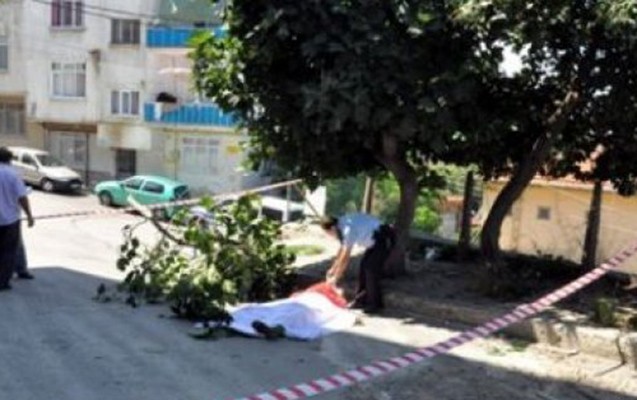 Oğuzda 50 yaşlı kişi ağacdan yıxılaraq ölüb