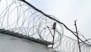 Qohumunu güllələyən şəxs həbsdə ölüb