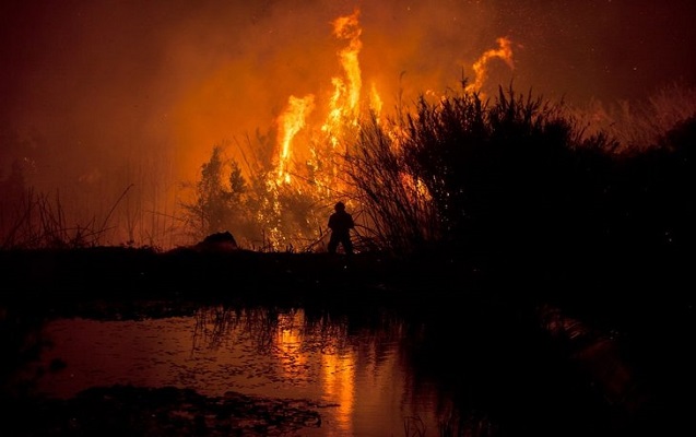 Portuqaliyada güclü yanğın - 35 ölü, 56 yaralı + Fotolar