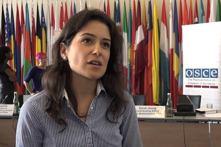 Azərbaycan əleyhinə iş aparan Arzu Qeybullayeva kimdir?